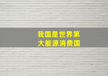 我国是世界第 大能源消费国